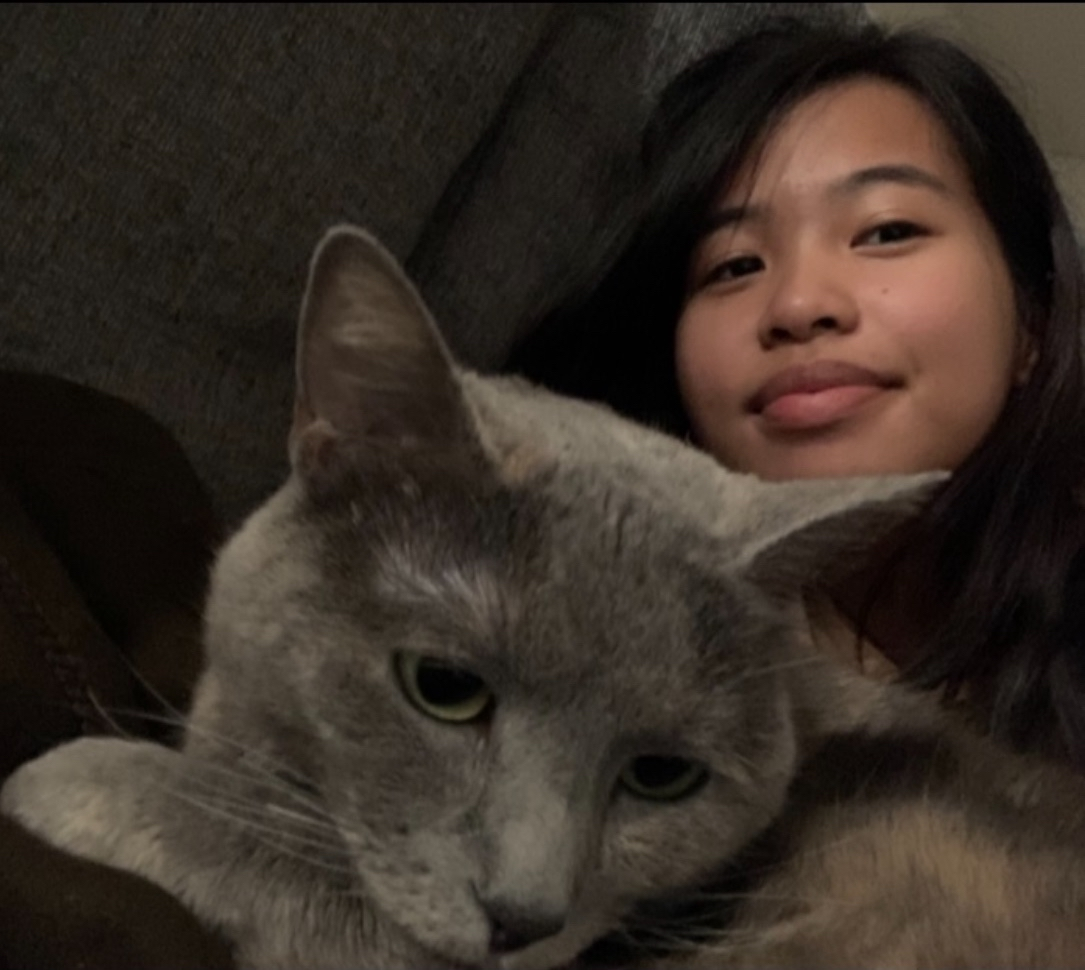 A grey cat resting against Samantha